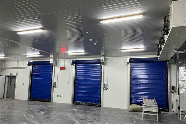 Dual-Axis Insulated High-Speed ​​Door