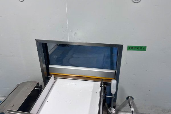 high speed conveyor door